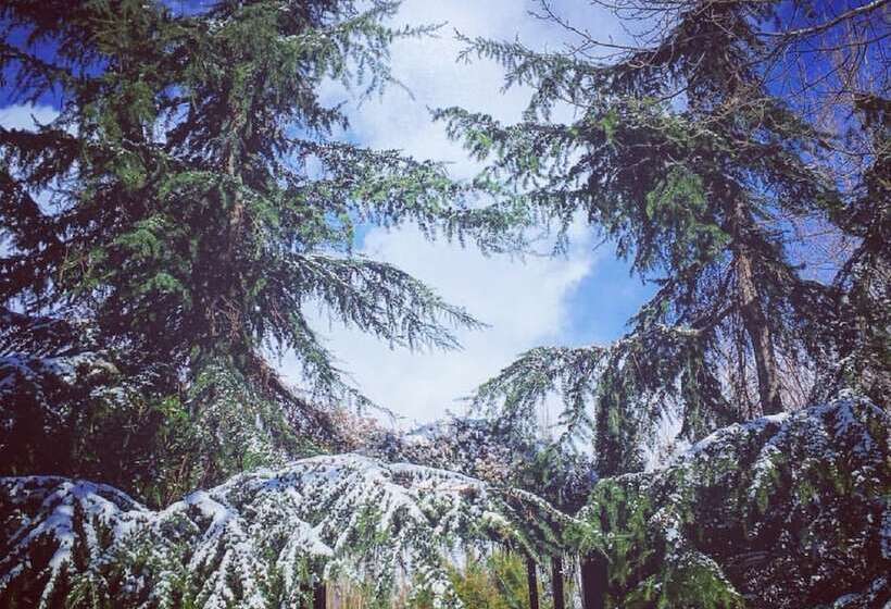 هتل West Bekaa Country Club