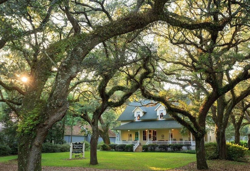 Magnolia Springs B&b
