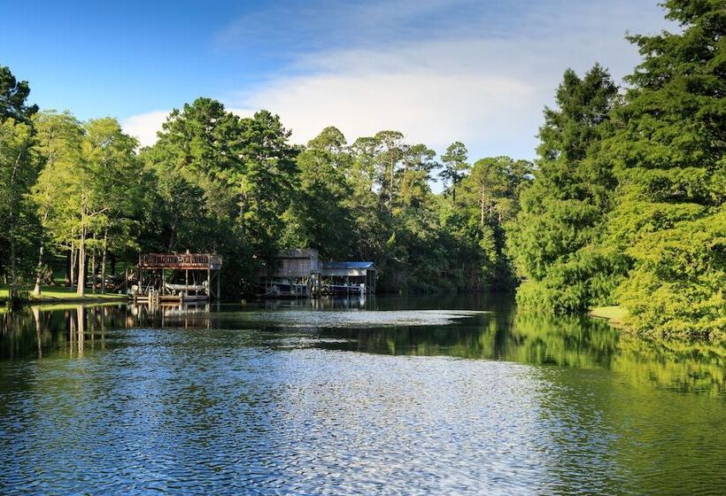 Magnolia Springs B&b