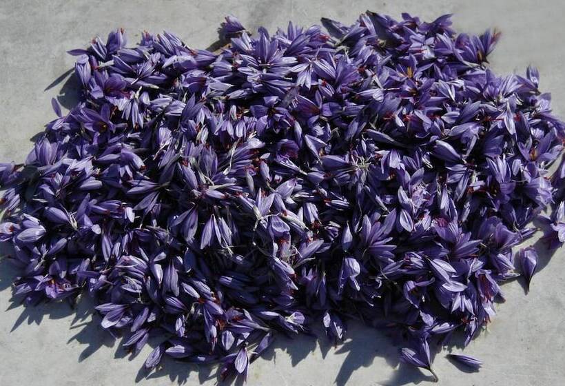 بنسيون Chambres D Hotes Au Vieux Logis