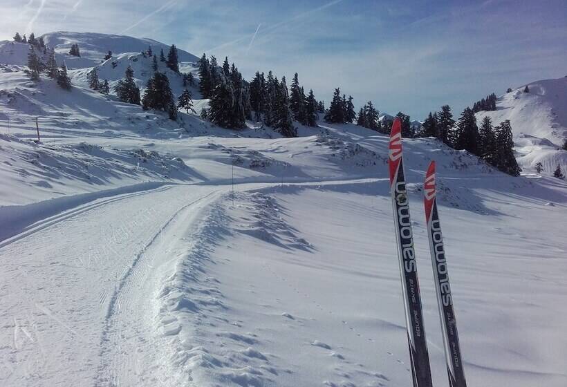 بنسيون Chambres D Hotes Au Vieux Logis