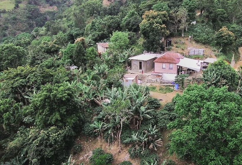 پانسیون Jay S Guest House