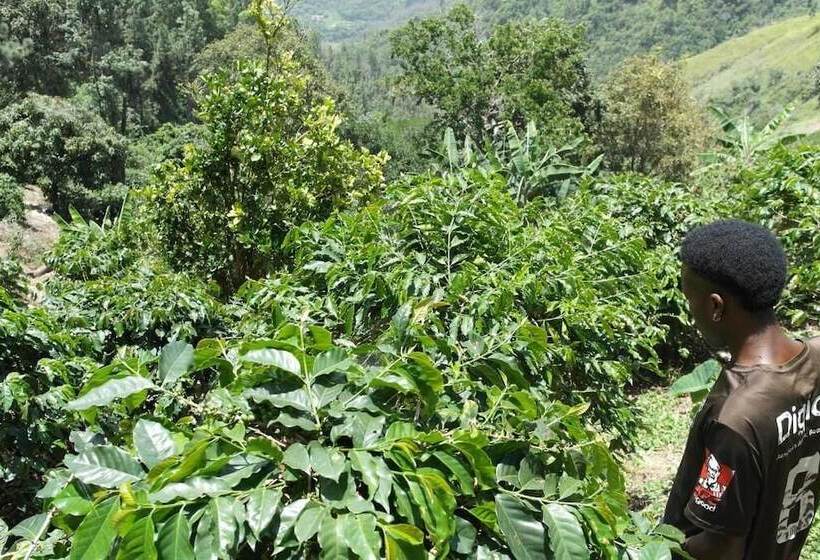 پانسیون Jay S Guest House