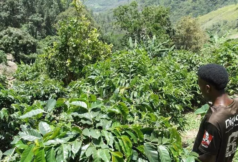 پانسیون Jay S Guest House