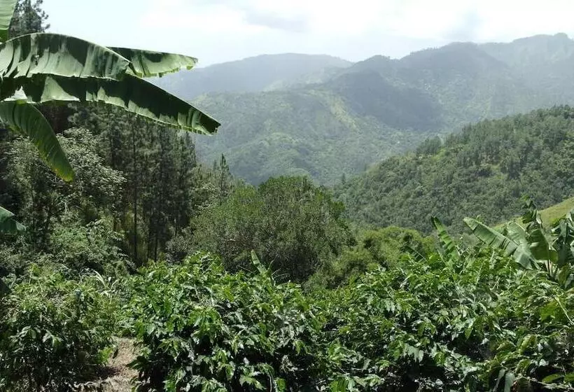 پانسیون Jay S Guest House