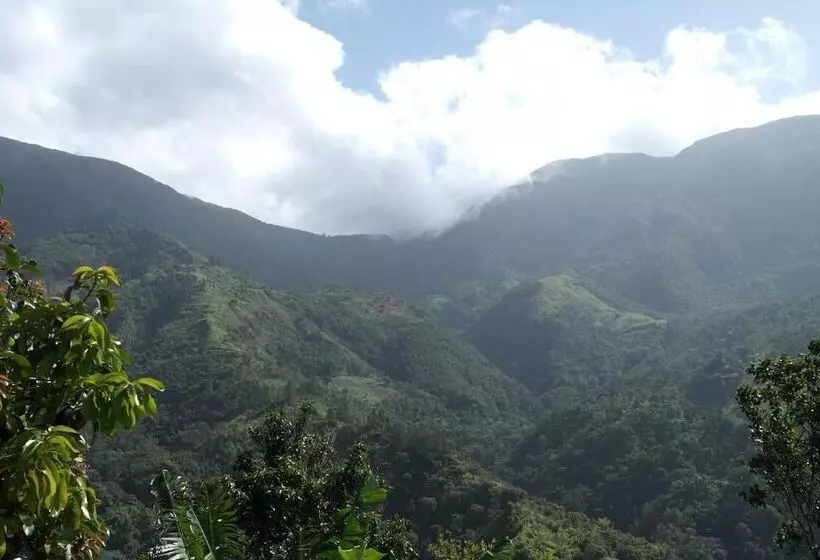 پانسیون Jay S Guest House