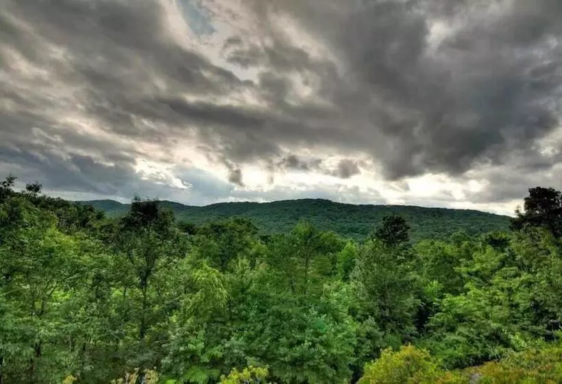 Wild Things Nevaeh Cabin Rentals