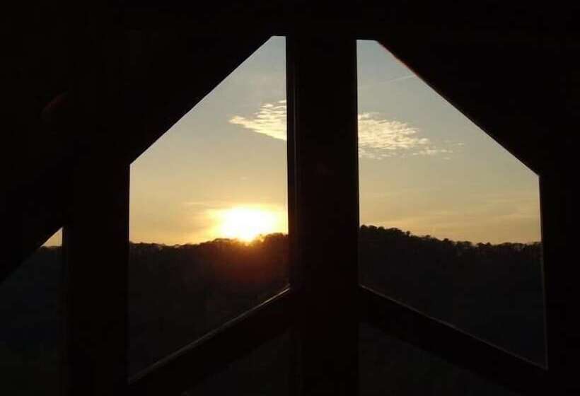 Wild Things Nevaeh Cabin Rentals