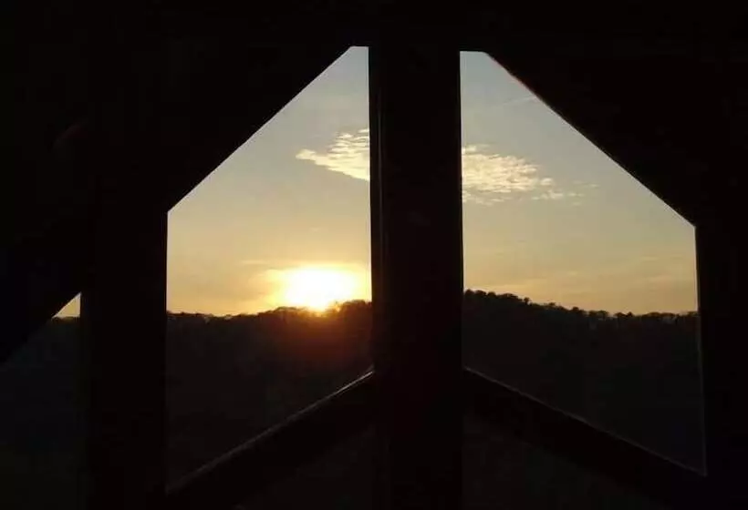 Wild Things Nevaeh Cabin Rentals