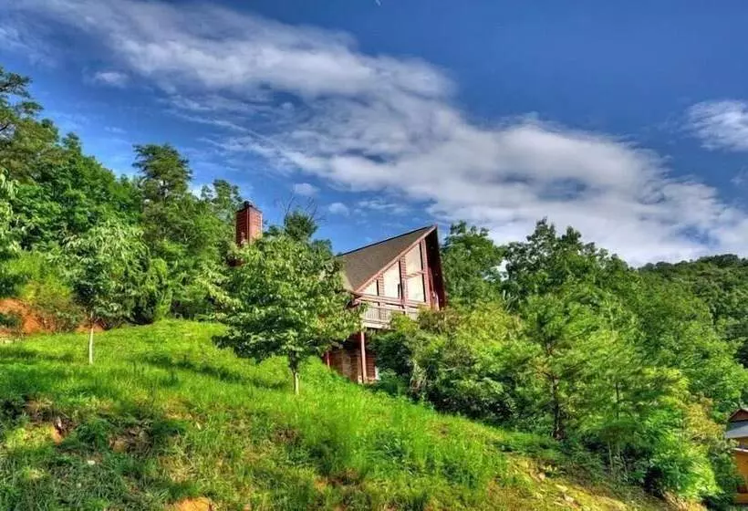 Wild Things Nevaeh Cabin Rentals