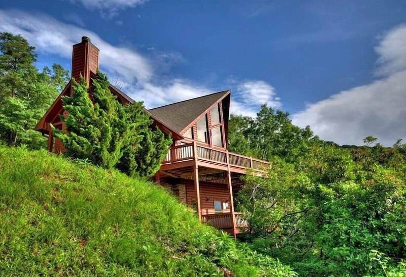 Wild Things Nevaeh Cabin Rentals