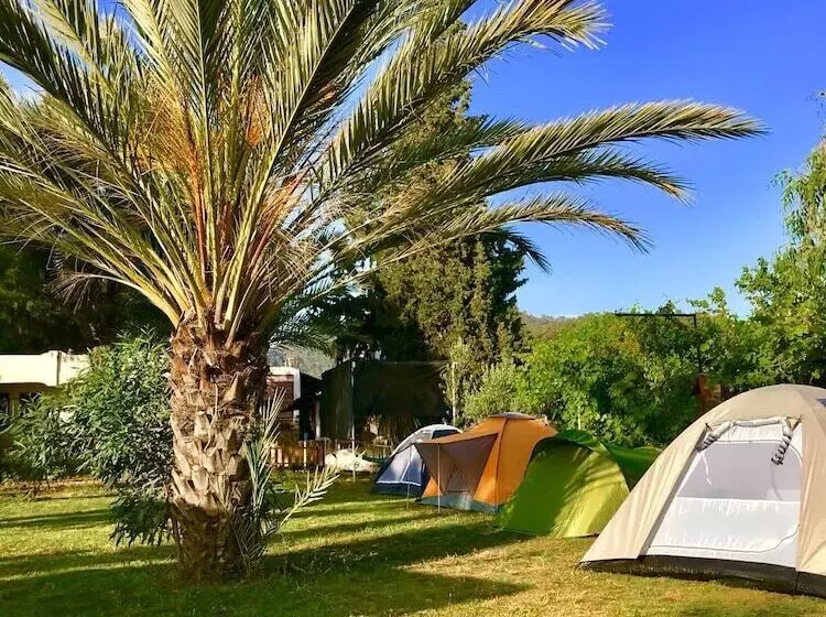 ベッドアンドブレックファースト Angora Motel & Camping & Restaurant