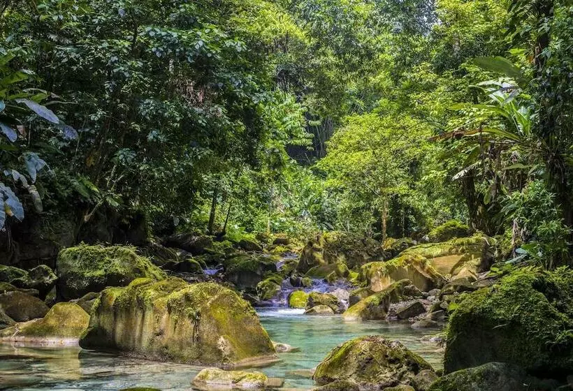 هتل Go Natural Jamaica Retreats