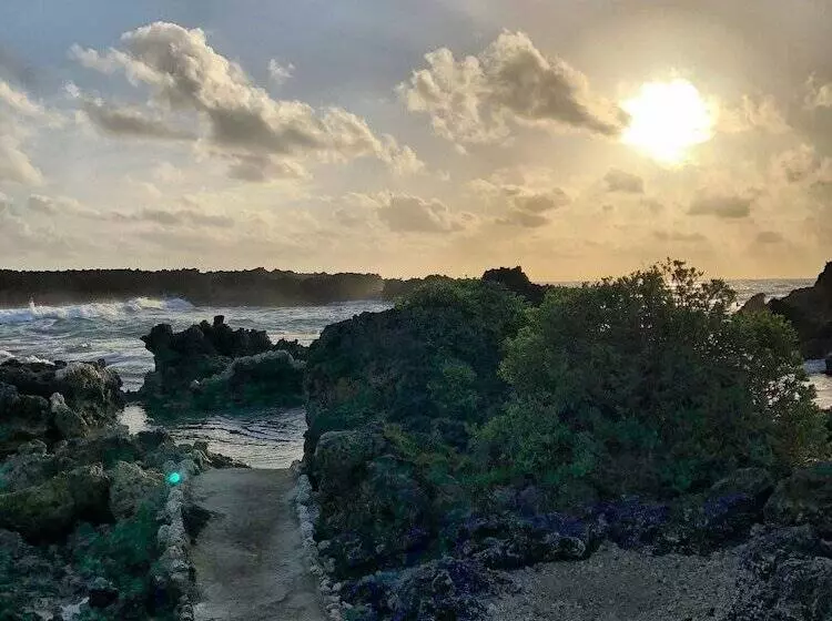 هتل Go Natural Jamaica Retreats