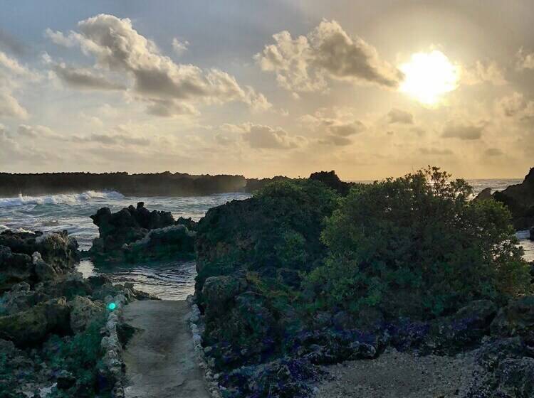 هتل Go Natural Jamaica Retreats