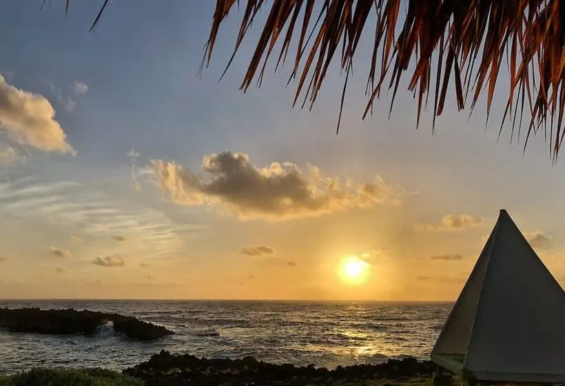 هتل Go Natural Jamaica Retreats