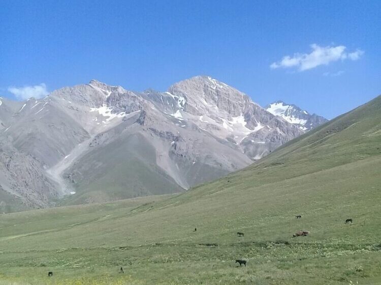 هتل Kitob Sayyoh   Campsite