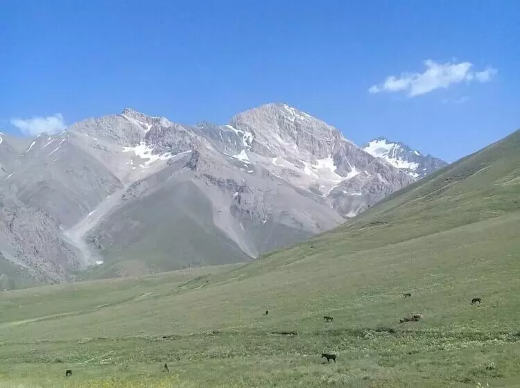 هتل Kitob Sayyoh   Campsite