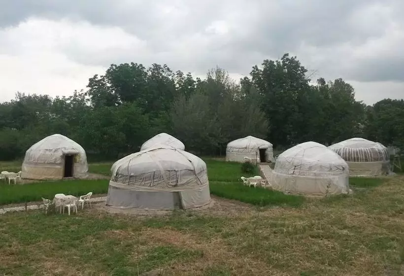 هتل Kitob Sayyoh   Campsite