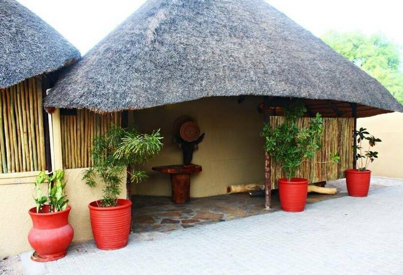 酒店 Mango Guesthouse