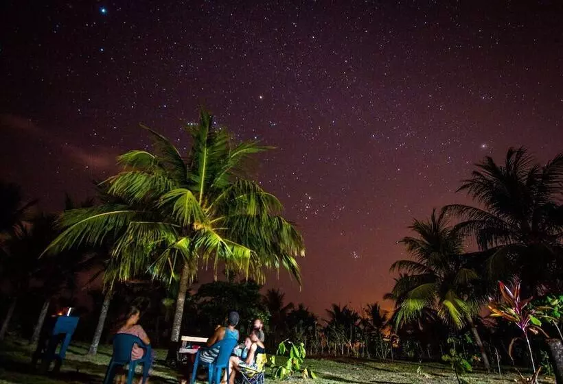 ホテル Miguel Surf  Camp