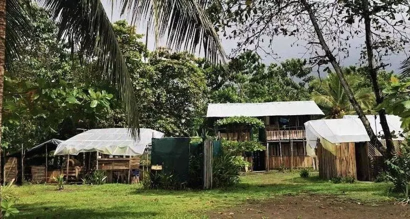 ホテル Miguel Surf  Camp