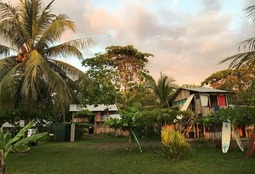 ホテル Miguel Surf  Camp