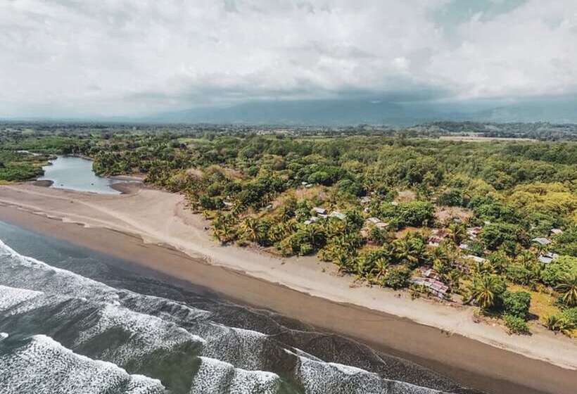 Hotel Miguel Surf  Camp