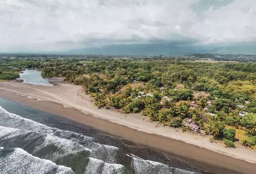 ホテル Miguel Surf  Camp