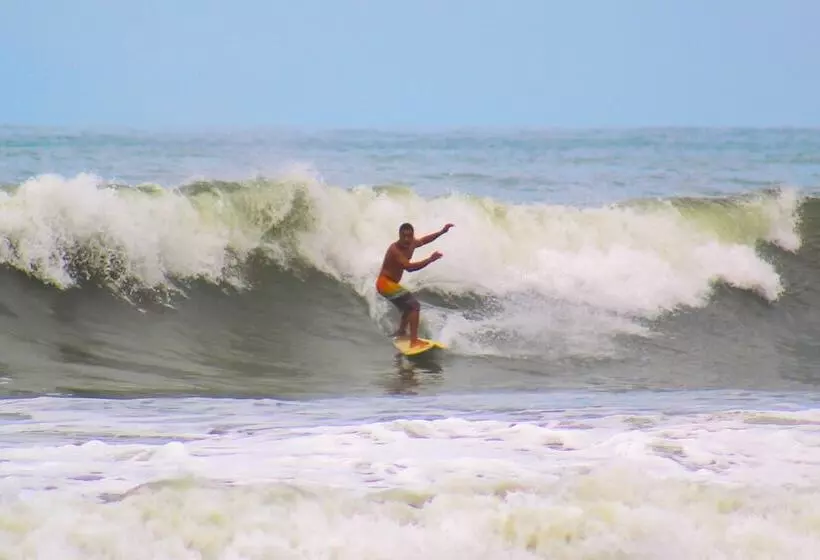 ホテル Miguel Surf  Camp