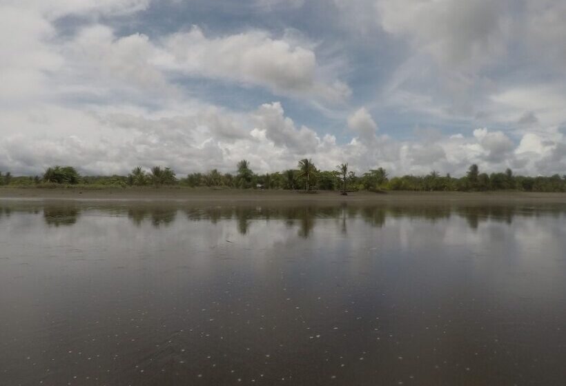 Hotel Miguel Surf  Camp