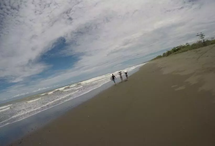 ホテル Miguel Surf  Camp