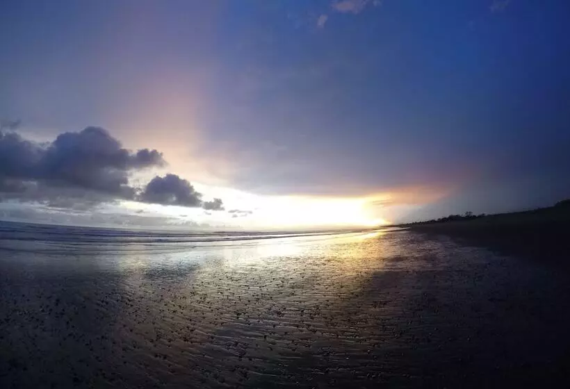 ホテル Miguel Surf  Camp