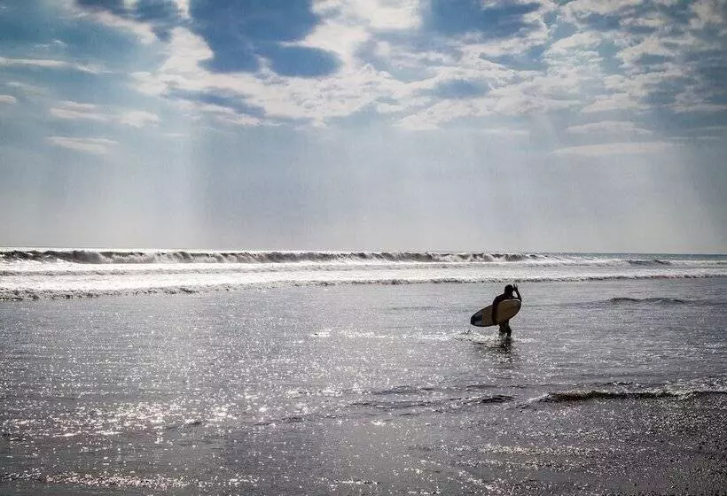 ホテル Miguel Surf  Camp