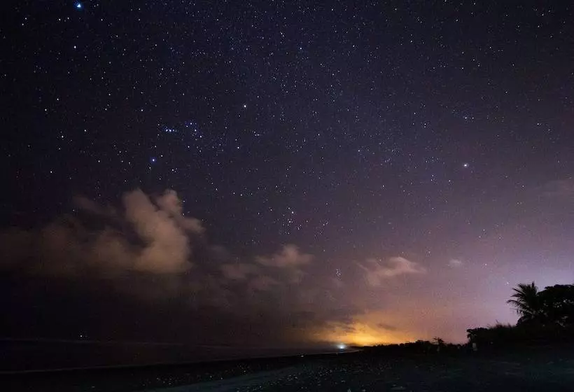 ホテル Miguel Surf  Camp