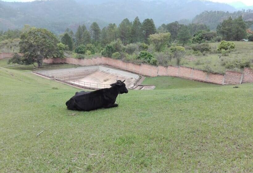 هتل Mirador Del Valle
