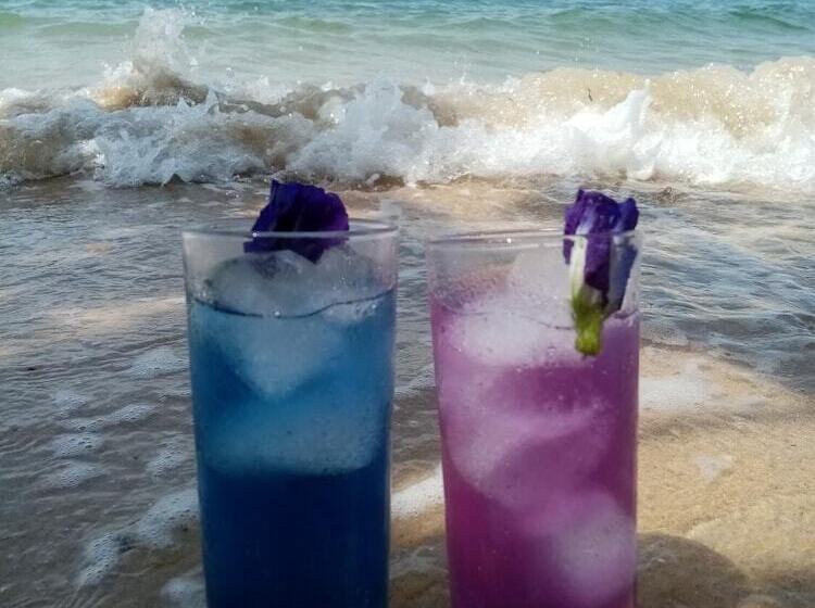 בית מלון כפרי Nichos Island Resort