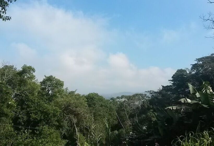 Отель Pousada Agatha Romagna