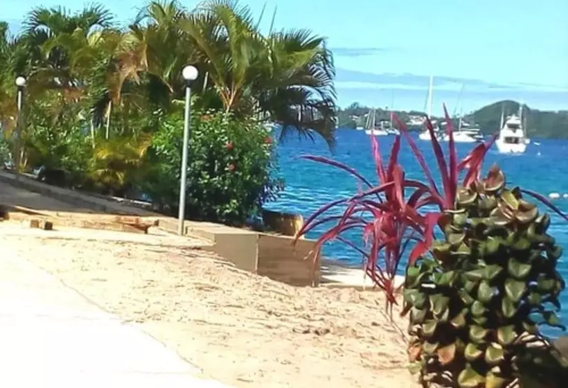 هتل Puataukanave International