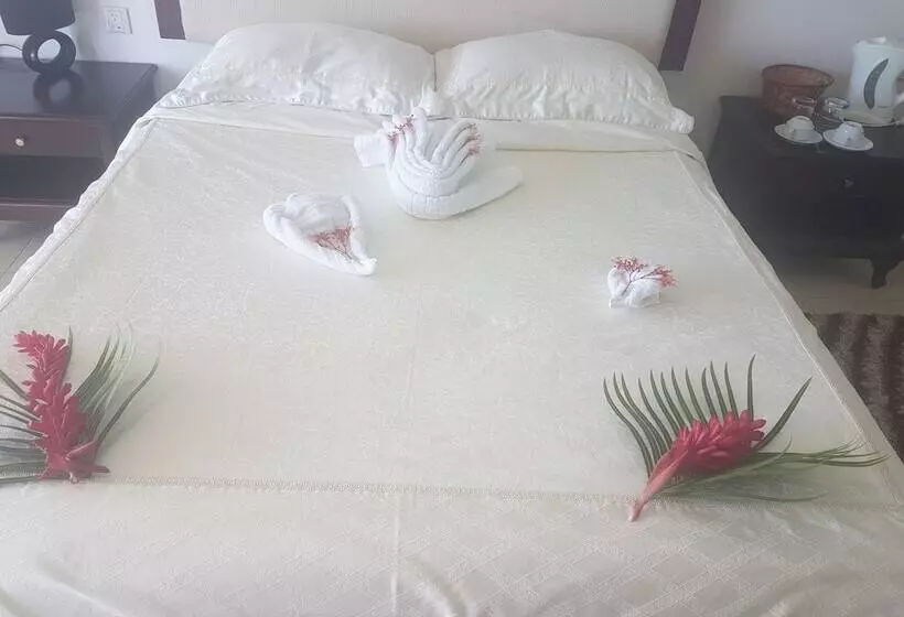 هتل Puataukanave International