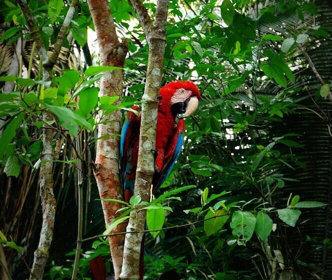 پانسیون Villa Hermosa De Tambopata