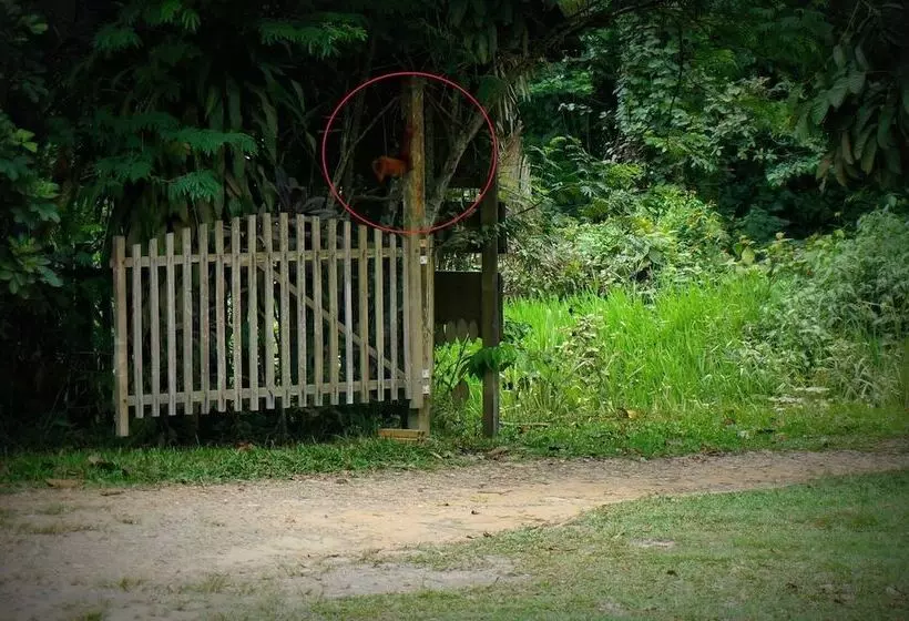 Majatalo Villa Hermosa De Tambopata