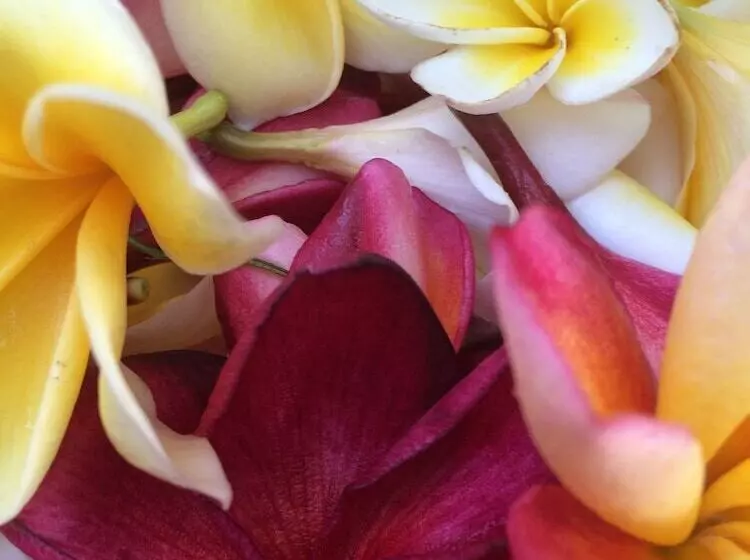 Aamiaismajoitus (B&B) Sama S Cottages And Villas