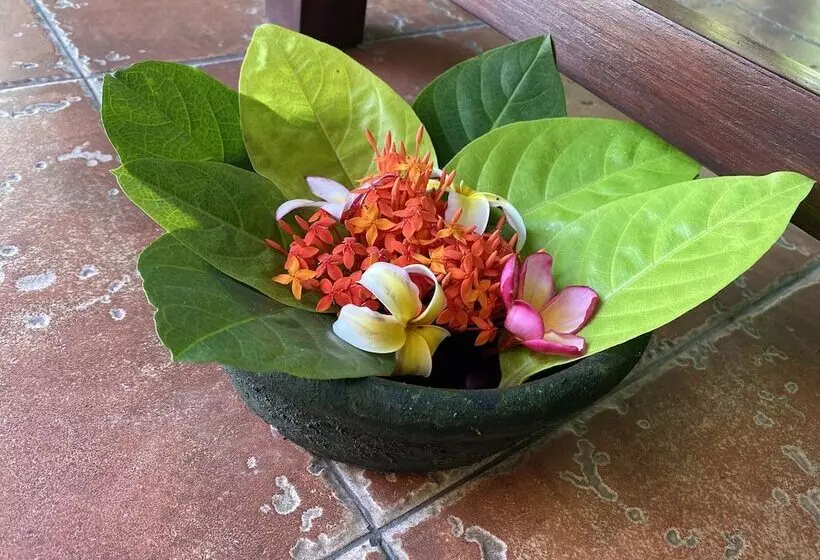 Aamiaismajoitus (B&B) Sama S Cottages And Villas