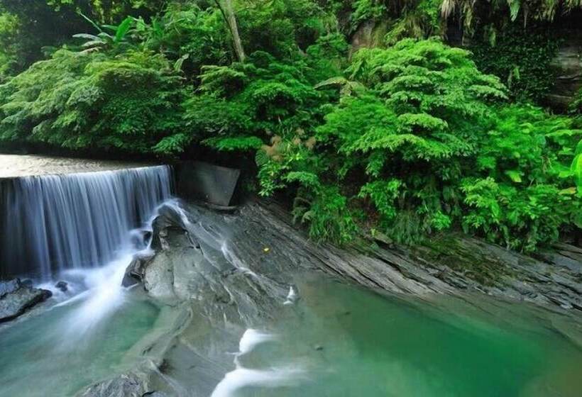 تختخواب و صبحانه Springcreek Hostel