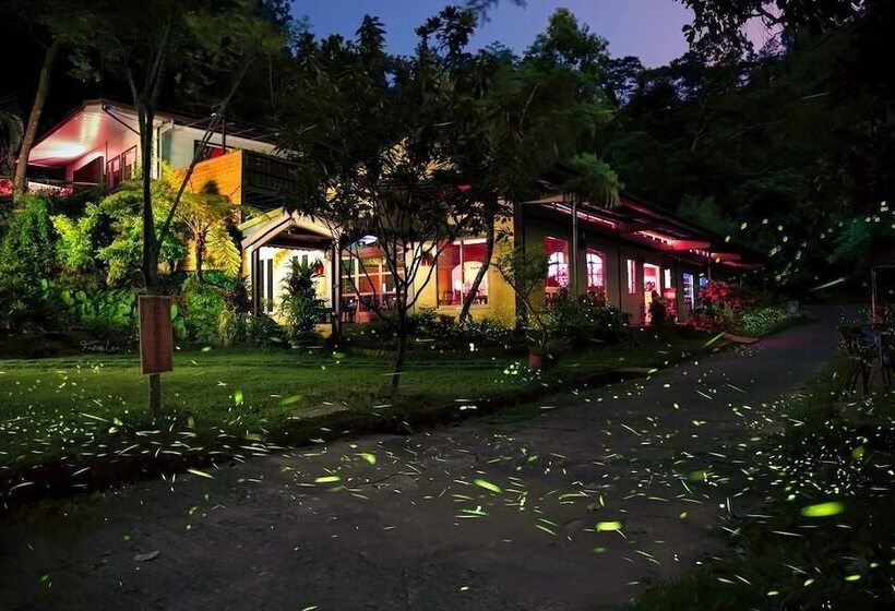 تختخواب و صبحانه Springcreek Hostel