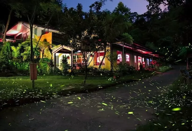 تختخواب و صبحانه Springcreek Hostel