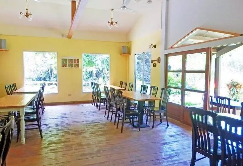 تختخواب و صبحانه Springcreek Hostel