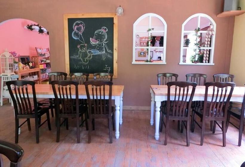 تختخواب و صبحانه Springcreek Hostel