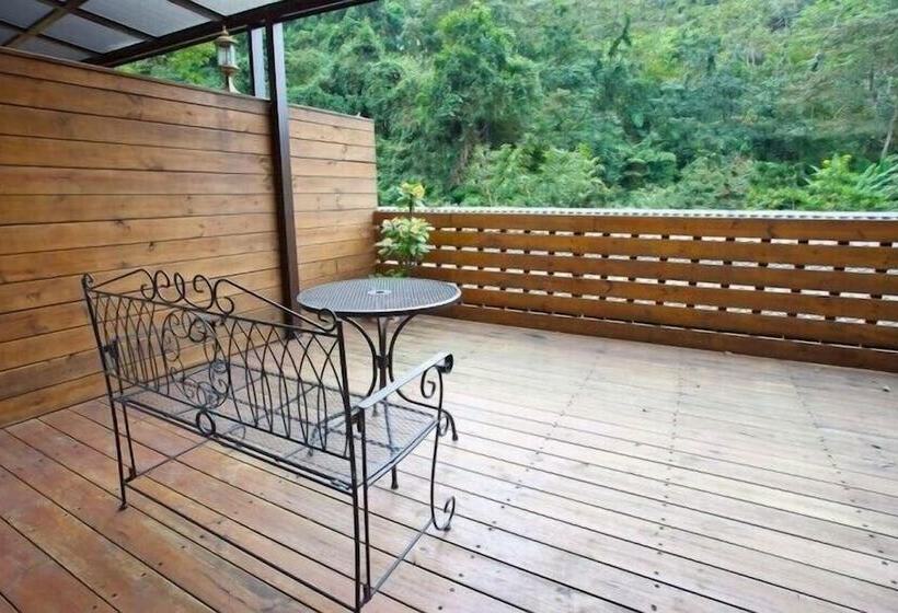 تختخواب و صبحانه Springcreek Hostel